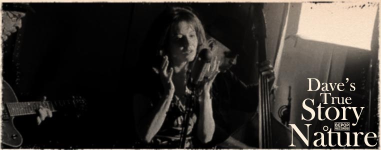 Dave's True Story